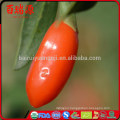 Goji berry 2016 crop with BRC ISO22000 ISO9000 Kosher